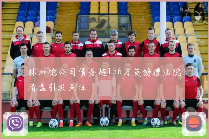 林加德公司债务超156万英镑遭法院清盘引发关注