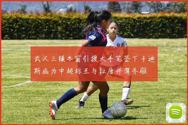 武汉三镇冬窗引援大手笔签下卡迪斯成为中超标王与拉唐并驾齐驱